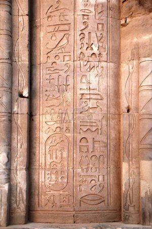 Photo for Ancient Egyptian hieroglyphs on stone wall, Com Ombo Temple of gods Horus and crocodile-headed Sobek, Egypt, North Africa.  Com-Ombo Temple wall and columns with carvings hieroglyphs - Royalty Free Image