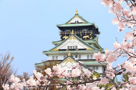 Photo for Osaka Castle and flowers of sakura, Japan, Asia. Traditional japanese hanami festival. Spring cherry blossoming season in Japan - Royalty Free Image