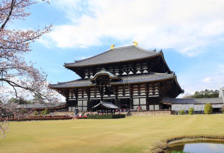 Todaiji Temple and blooming sakura branches. Great Eastern Temple, one of Seven Great Temple. Spring time in Japan. Sakura blossom season. Cherry blossoming season in Asia. Japanese hanami festival 