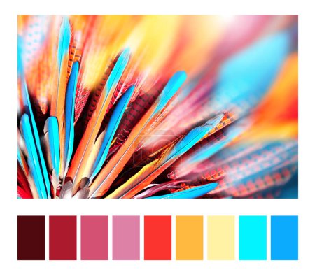 Foto de Paleta de colores a juego con muestras de color. Plumas multicolores en tocado indio nativo americano. Bandera horizontal o vertical llamativa con plumas de color azul, naranja y rojo - Imagen libre de derechos