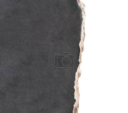 Photo for Torn paper edge. Edge of cardboard texture of black color. Copy space for text. Isolated on white background - Royalty Free Image