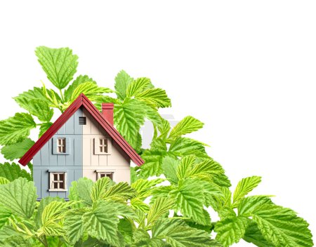 Eco casa amigable. Modelo de madera hogar y hojas verdes. Aislado sobre fondo blanco. Ecología, verde, energía verde, energía renovable, medio ambiente y protección de la conservación. 3d renderizar