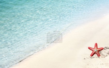 Photo for Sea waves and red starfish on the sand beach. Starfish on the sand of an ocean coast. Tropical resort. Summer time concept. Relaxing on the beach - Royalty Free Image
