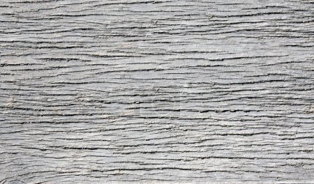 Photo for Texture of old wooden boards of gray color. Vertical or horizontal background with retro wood planks - Royalty Free Image