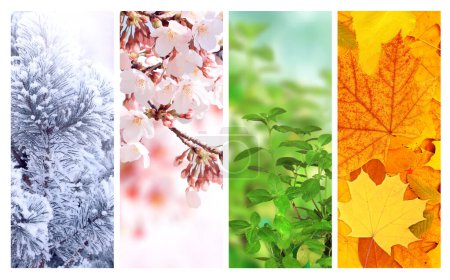 Foto de Four seasons of year. Set of vertical nature banners with winter, spring, summer and autumn scenes. Nature collage with seasonal scenics. Copy space for text - Imagen libre de derechos