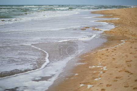 Téléchargez les photos : Plage de sable à Egmond aan zee près d'Alkmaar, Hollande-Septentrionale, Pays-Bas - en image libre de droit