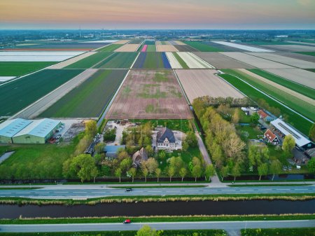 Foto de Vista aérea del dron de los típicos campos y pólderes holandeses. Paisaje típico del campo de los Países Bajos - Imagen libre de derechos