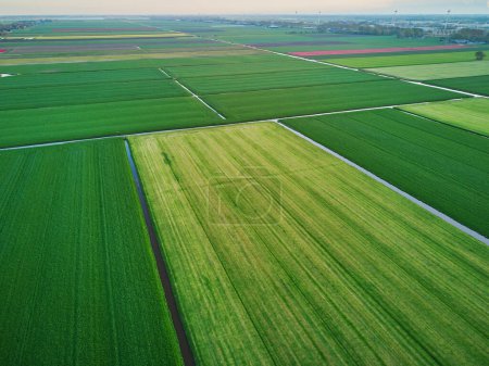 Foto de Vista aérea del dron de los típicos campos y pólderes holandeses. Paisaje típico del campo de los Países Bajos - Imagen libre de derechos