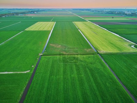 Téléchargez les photos : Vue aérienne par drone des champs et polders typiquement hollandais. Paysage typique de la campagne néerlandaise - en image libre de droit
