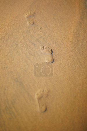 Téléchargez les photos : Empreintes d'enfants dans le sable sur une plage de sable - en image libre de droit