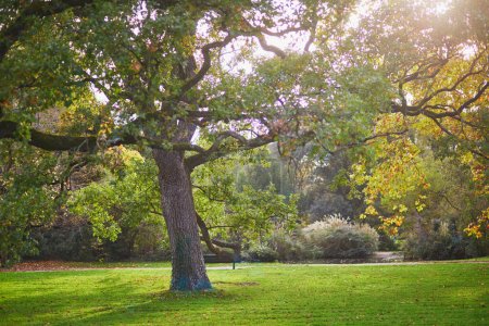 Foto de Hermoso parque de Bagatelle en París, Francia en un hermoso día de otoño en octubre - Imagen libre de derechos