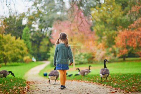 Téléchargez les photos : Adorable enfant d'âge préscolaire regardant des bernaches du Canada dans le parc Bagatelle, Paris, France un jour d'automne - en image libre de droit