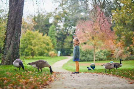 Téléchargez les photos : Adorable enfant d'âge préscolaire regardant des bernaches du Canada dans le parc Bagatelle, Paris, France un jour d'automne - en image libre de droit