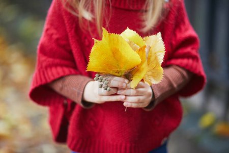 Téléchargez les photos : Fille préscolaire en poncho rouge tenant tas de feuilles d'automne colorées dans le parc un jour d'automne - en image libre de droit