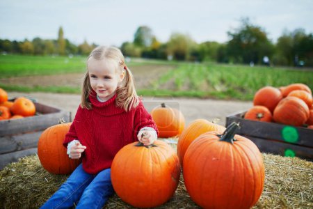 Téléchargez les photos : Adorable enfant d'âge préscolaire en poncho rouge sélectionnant la citrouille à la ferme. Enfant heureux célébrant Halloween - en image libre de droit