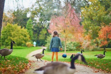 Foto de Adorable niña preescolar mirando a los gansos de Canadá en Park Bagatelle, París, Francia en un día de otoño - Imagen libre de derechos