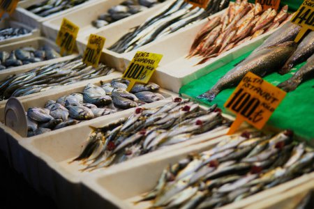 Téléchargez les photos : Captures fraîches du jour à vendre sur un marché aux poissons dans le district d'Uskudar, côté asiatique d'Istanbul, Turquie - en image libre de droit