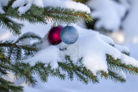 Foto de Un hermoso árbol con bolas de Navidad. - Imagen libre de derechos