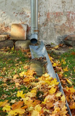 Foto de Drenajes de agua cerca de la casa con hojas amarillas. - Imagen libre de derechos