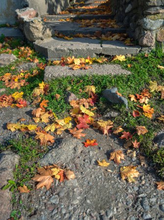 Foto de Superficie de hojas amarillas en octubre. - Imagen libre de derechos