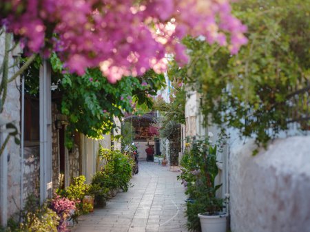 Bougainvilliers en fleurs, rues de la vieille ville de Bodrum, Turquie. Joyeux voyageur femme en tenue élégante blanche marchant dans les rues romantiques. Voyage d'été