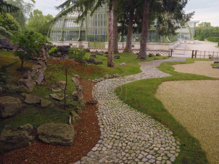 Japanese garden in Vienna (inside Botanical garden): Japanese maple, topiary small pine trees, stepping stones, moss, small stream among trees