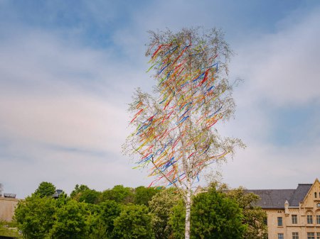 Foto de Viaje de primavera a Europa. Abedul alto en el centro de Erfurt decorado con cintas de colores. Mayo festival de primavera popular Maypole o Maibaum - Imagen libre de derechos