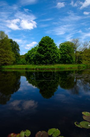 Foto de Lago en el parque de la ciudad sobre fondo cielo azul - Imagen libre de derechos