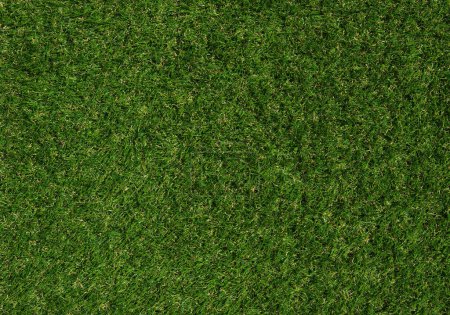 Photo for Green grass background and top view lawn texture. - Royalty Free Image