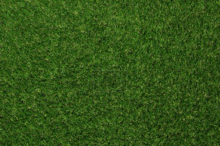 Téléchargez les photos : Fond d'herbe verte et texture de pelouse vue du dessus. - en image libre de droit