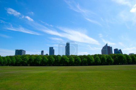 Foto de Parque de la ciudad sobre fondo azul del cielo en La Haya (Den Haag) - Imagen libre de derechos