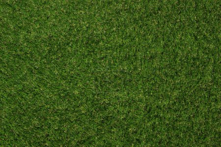 Photo for Green grass background and top view lawn texture. - Royalty Free Image