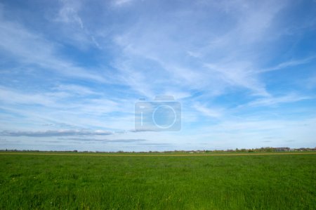 Téléchargez les photos : Paysage de prairie verte et de nuages dans le ciel - en image libre de droit