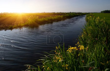 Foto de Paisaje de un lago en luz solar y agua azul con plantas - Imagen libre de derechos