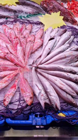 Téléchargez les photos : Une collection de poissons nageant dans un espace confiné dans un marché aux poissons - en image libre de droit
