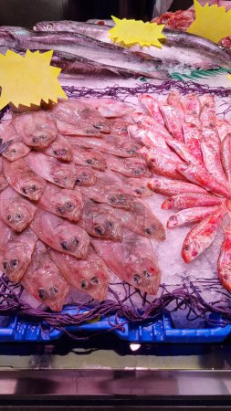 Various types of fish arranged in a busy fish market.