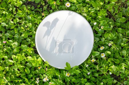 Photo for Empty white plate on green plant leaves background, top view. natural vegan eating concept - Royalty Free Image
