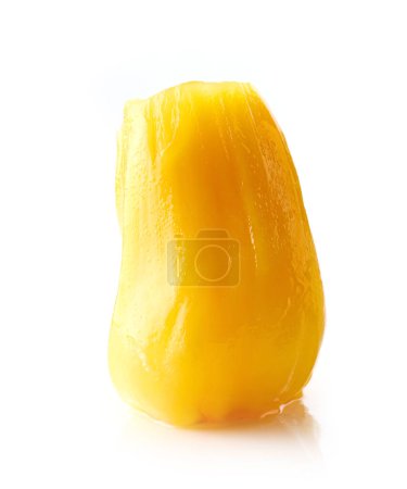Photo for Canned jackfruit piece isolated on white background - Royalty Free Image