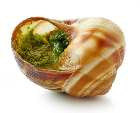 Photo for Escargot snail filled with garlic and parsley butter isolated on white background, top view - Royalty Free Image