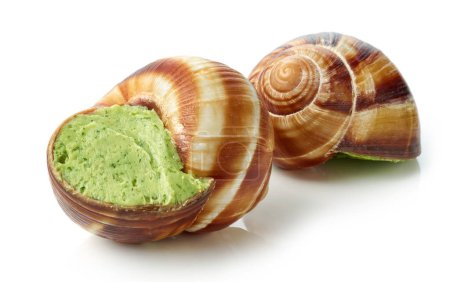 Photo for Escargot snail filled with garlic and parsley butter isolated on white background - Royalty Free Image