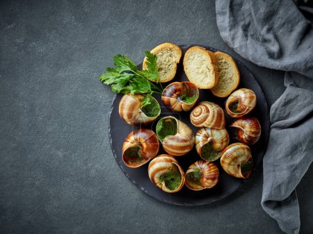 Téléchargez les photos : Assiette d'escargots cuits au four remplis de persil et de beurre d'ail sur fond gris, vue de dessus - en image libre de droit