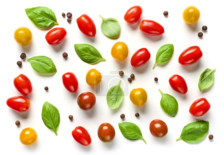 Téléchargez les photos : Composition plate de diverses tomates colorées et feuilles de basilic isolées sur fond blanc, vue de dessus - en image libre de droit