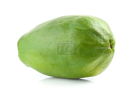 Photo for Whole fresh green papaya fruit isolated on white background - Royalty Free Image