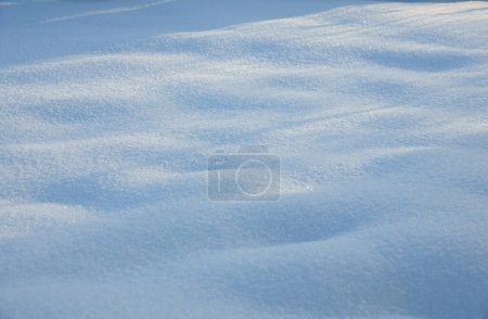 Photo for White snow in winter, abstract background - Royalty Free Image