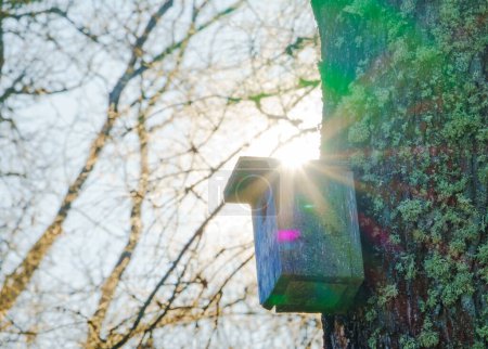 Photo for An old birdhouse on a tree waiting for the arrival of starlings - Royalty Free Image