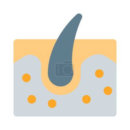 Ilustración de La dermis es la capa de piel que se encuentra debajo de la epidermis y por encima de la capa subcutánea. - Imagen libre de derechos