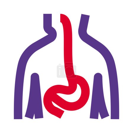 Téléchargez les illustrations : The GI tract is a series of hollow organs joined in a long, twisting tube from the mouth to the anus - en licence libre de droit