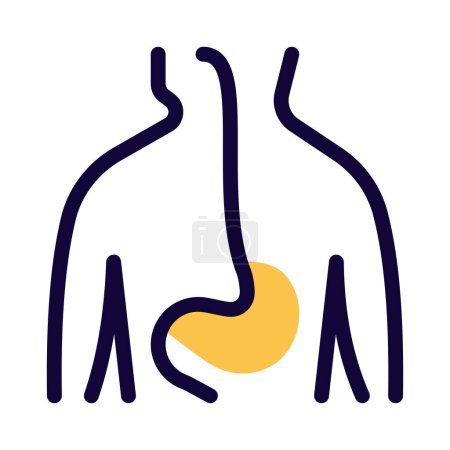 Téléchargez les illustrations : The GI tract is a series of hollow organs joined in a long, twisting tube from the mouth to the anus - en licence libre de droit