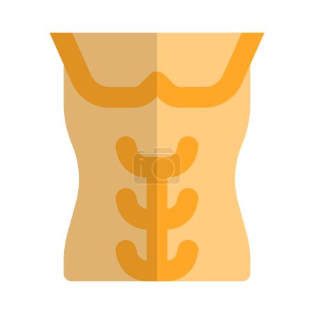 Téléchargez les illustrations : Le muscle du rectus abdominal, également connu sous le nom de muscle abdominal ou ABS - en licence libre de droit