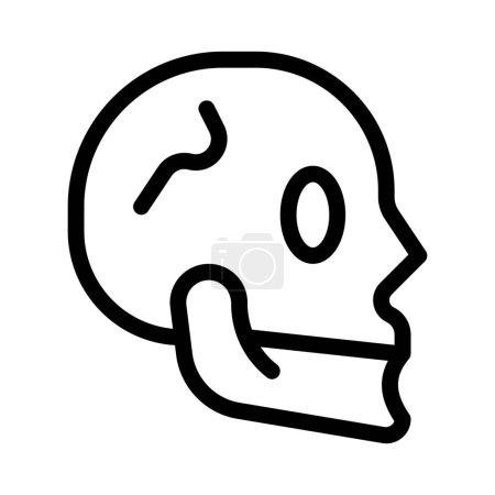 Illustration for The cranium (skull) is the skeletal structure of the head that supports the face and protects the brain. - Royalty Free Image
